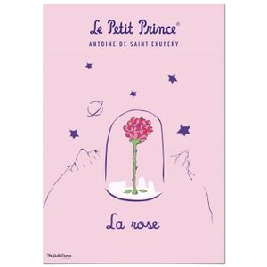 TAPIS DE JEU Tapis Vinyle Le Petit Prince Rose et Planète 60x110 cm - Tapis pour Cuisine, Bureau et Salon en PVC