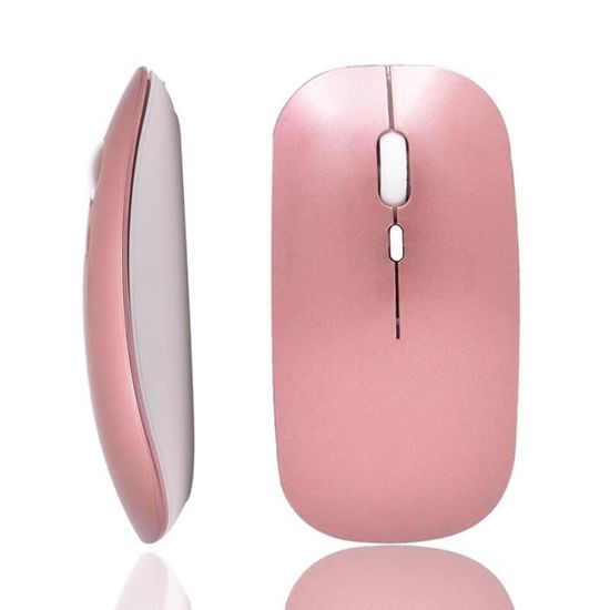 Souris Sans Fil Ergonomique Rechargeable - 1600 DPI, 6 Boutons, Connexion USB 2.4GHz