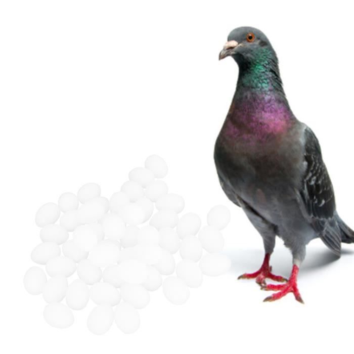 YOSOO Oeufs à couver 50 PCS En Plastique Durable Usage Spécial Simulation Réaliste Faux Oiseau Pigeon Nid Éclosion Oeufs