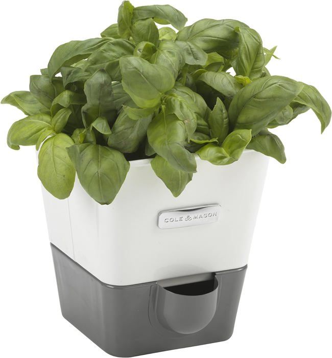 Lot De 3 Pots à Herbes Aromatiques Auto-Arrosage - Système Irrigation, Gris - Pour Cuisine, Rebord Fenêtre