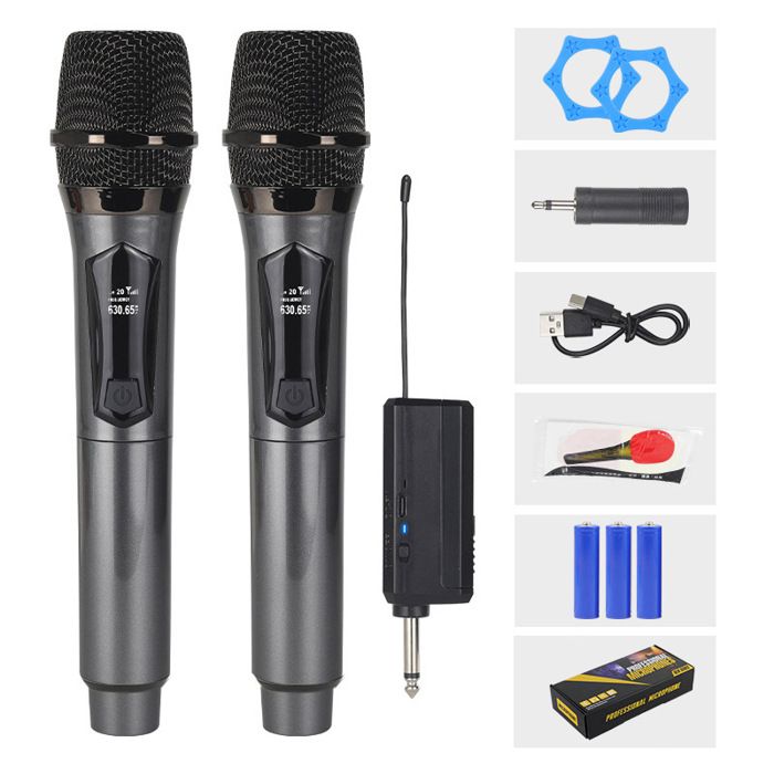Micro sans Fil Micro Dynamique Professionnel à Main Double avec Récepteur Rechargeable Autonomie de 40 H Portée de 60 m (Gris)