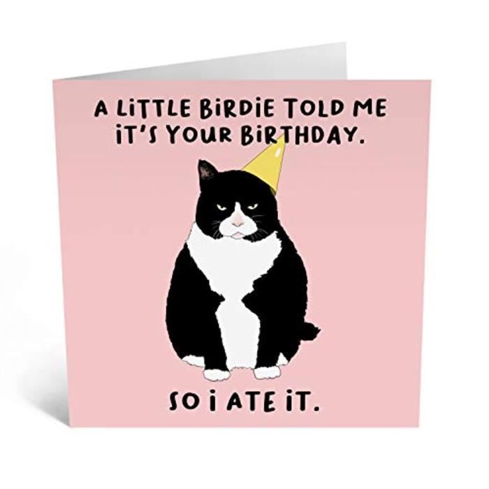 Kit Papier Creatif Gwsps Carte D Anniversaire Humoristique Joyeux Anniversaire Pour Conception Carte De Voeux De Chat Livre Av Cdiscount Beaux Arts Et Loisirs Creatifs