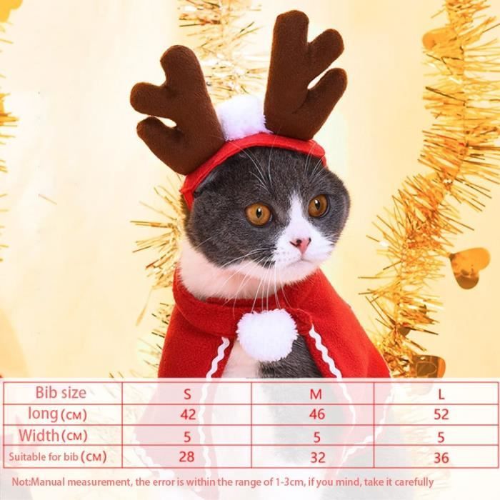 Vetement chaton outlet