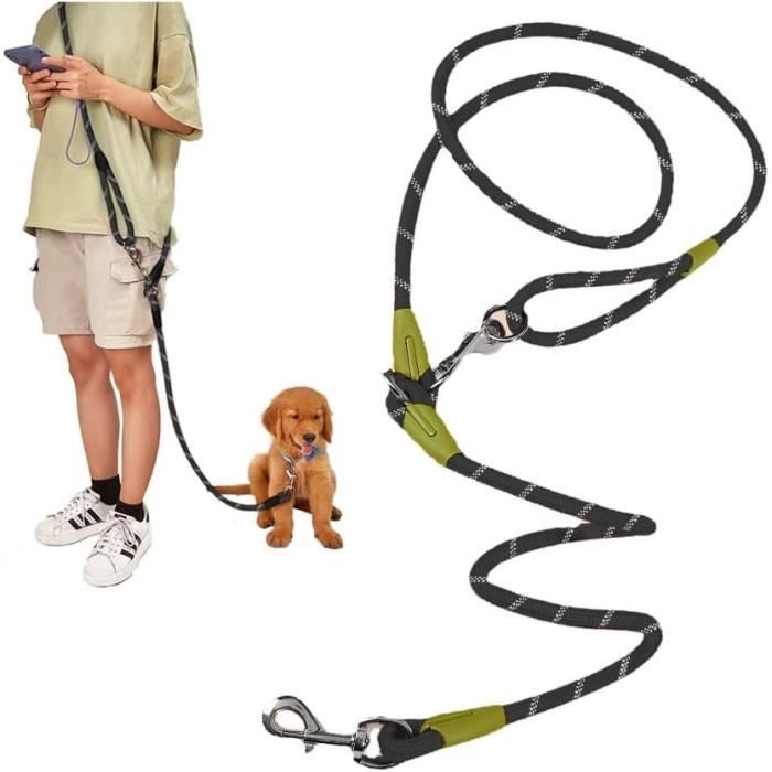 Laisse Mains Libres Pour Chien ARTOCT - Pour Course, Vélo, Randonnée - Tige Inox Avec Cordon Rétractable
