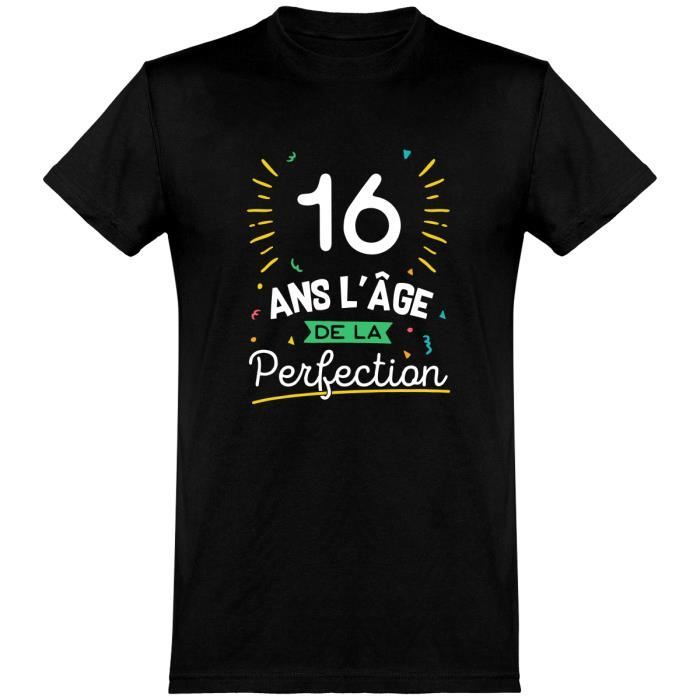 16 Ans La Perfection T Shirt Humour Anniversaire Cadeau Imprime En France Black Cdiscount Pret A Porter