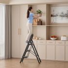 WIRLSWEAL Échelle télescopique pliante en Fer - Échelle à 3 marches -Capacité 100 kg