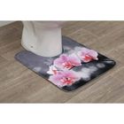 CAPITAL SPORTS TAPIS CONTOUR WC MICROFIBRE IMPRIME 45X50 CM - FLORA - Tendance