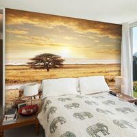 Papier peint Paysages Zèbres africains à l'abreuvoir 350x270 cm - Papier peint panoramique - Intissé