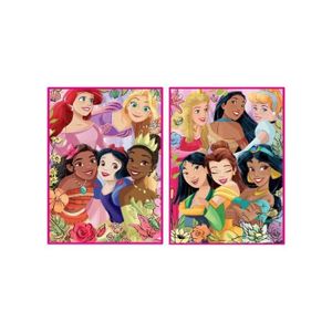 PUZZLE Coffret 2 Puzzles Adulte Les Princesses Ariel Raip
