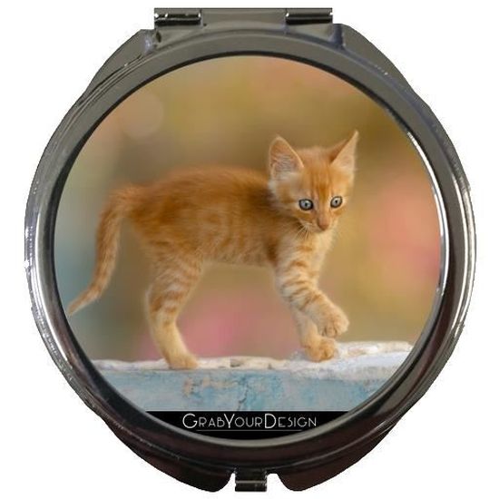 Photo D Animaux Drole Et Mignon Photo D Animaux Drole Et Mignon
