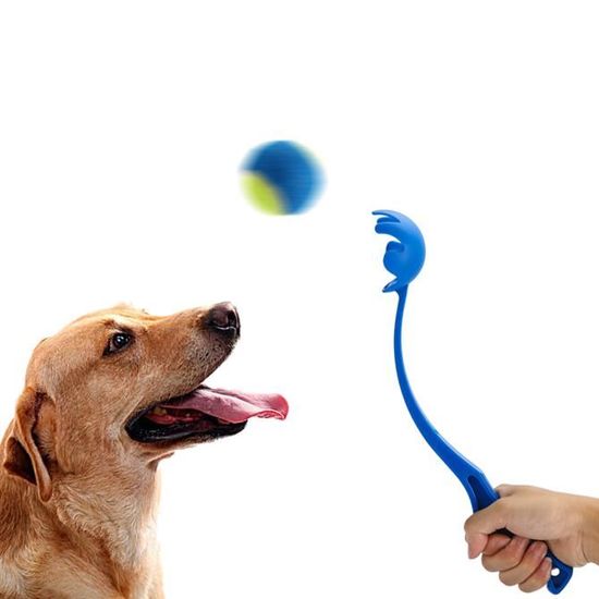 chien jouet interactif