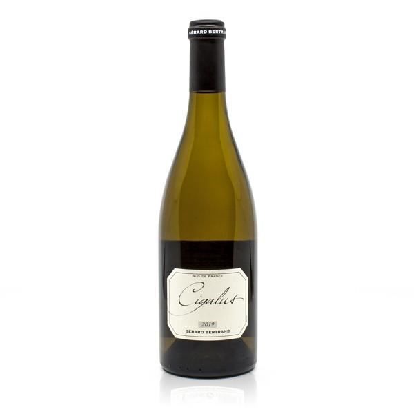 Domaine de Cigalus IGP Aude Hauterive Blanc 2019 Bio - Vin blanc bio