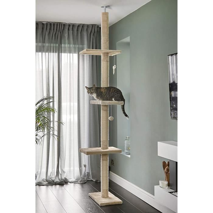 Arbre Chat Plafond Arbre Chat Plafond