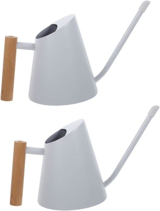 Arrosoir En Acier Inoxydable, Arrosoir À Long Bec De Jardin Avec Arroseur, Arrosoir En Métal