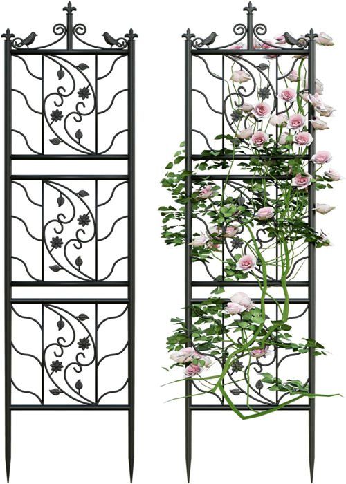 Lot De 5 Supports Pour Plantes Grimpantes En Fer - Formes Cœur Et Rond, 23x37 Cm, Noir