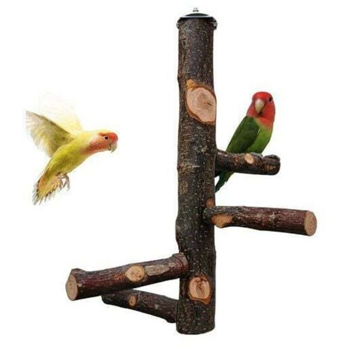Perchoir en bois pour oiseaux - OKZ® - Bois naturel - Sable de quartz - Hauteur 30 cm - Branches latérales 10 cm