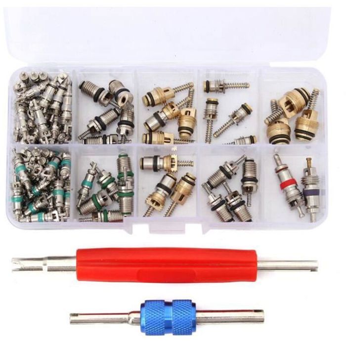Kit de valves de climatisation voiture - PZCC - 100 pièces - Compatibilité universelle R12/R134A