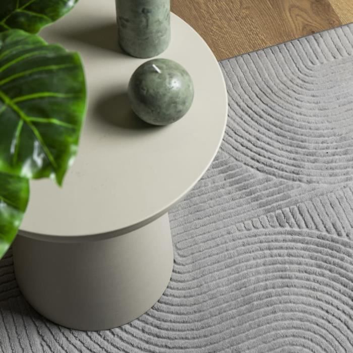 Tapis De Salon Treeboy 160 X 230 Cm, Gris - Poils Courts Doux, Antidérapant, Lavable - Pour Chambre, Bureau, Salon