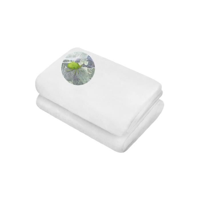 Filet Anti Insecte - fy - Maille Fine 10m x 2.5m - Protection des Plantes - Vert