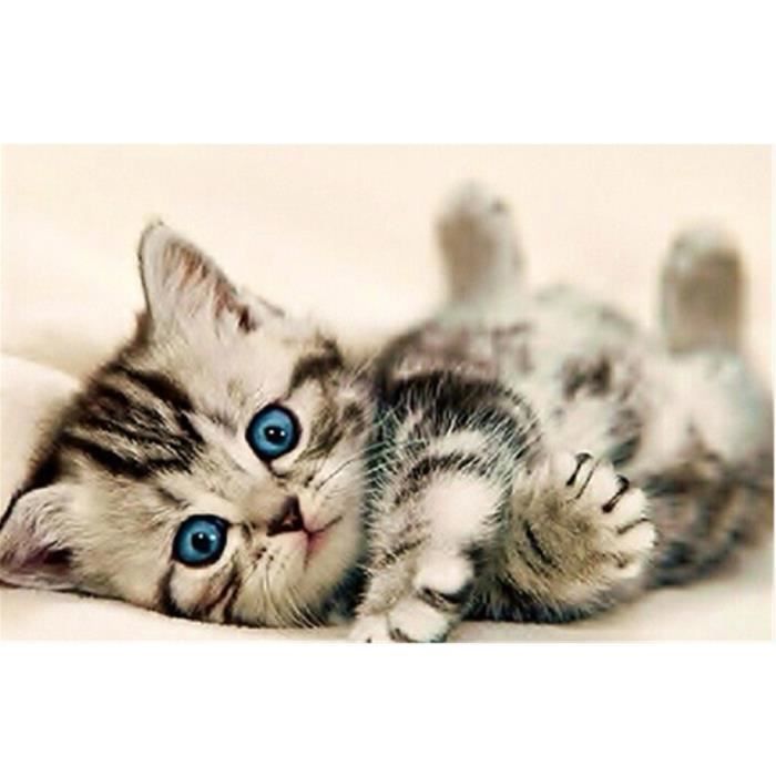 Broderie Diamant Chat Cdiscount Broderie Diamant Chat Cdiscount