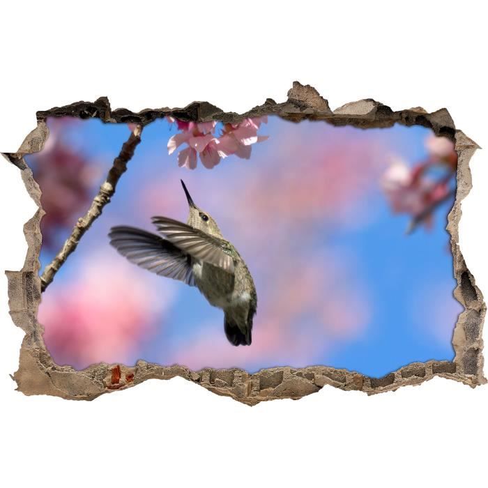 Minuscule Colibri Avec Fleur De Cerisier Mur Percee En 3d Look Mur Ou Format Vignette De La Porte 92x62cm Stickers Muraux Sti Achat Vente Stickers Cdiscount Minuscule Colibri Avec Fleur De Cerisier Mur Percee En 3d Look Mur Ou Format Vignette De La Porte 92x62cm Stickers Muraux Sti Achat Vente Stickers Cdiscount