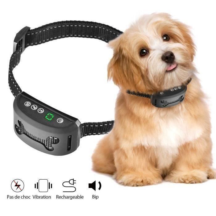 Collier Dressage Rechargeable Anti-aboiement Choc Vibration 
