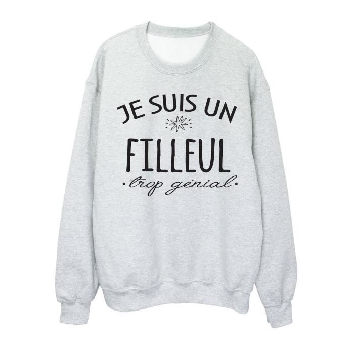 Sweat Shirt Imprime Humour Citation Je Suis Un Filleul Trop Genial Ref 2646 Gris Cdiscount Pret A Porter