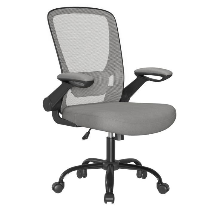 Chaise Bureau Ergonomique en Toile Support Lombaire Rembourré Mécanisme à Bascule Accoudoirs Rabattables Gris Tourterelle