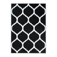 TAPISO Luxury Tapis de Salon Chambre Design Moderne Noir Blanc Treillis Marrocain Très Doux Fin 180 x 250 cm-1