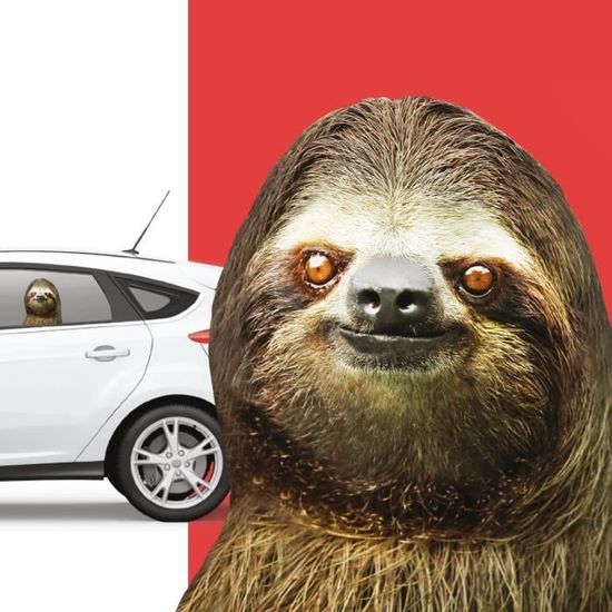 RIDE WITH Le Paresseux - Autocollant voiture