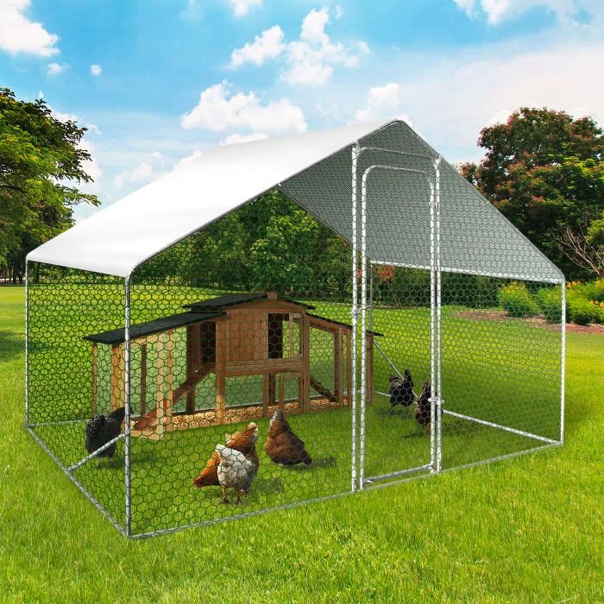 vidaXL Poulailler dExtérieur Poule Canard Jardin Caisse Enclos Cage danimaux 