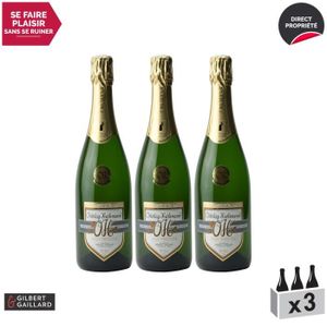 VIN BLANC Crémant d'Alsace Prestige Blanc - Lot de 3x75cl - 