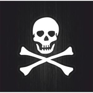 STICKER AUTOCOLLANT SKULL BIKER PUNISHER STICKERS VYNIL INT//EXT VOITURE