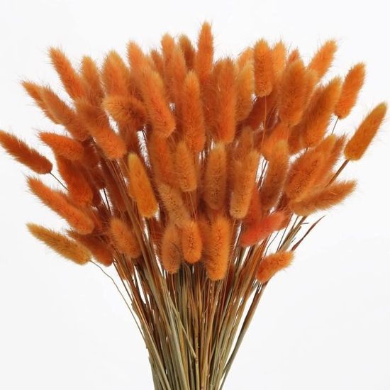Fleurs Séchées,Bouquet De Fleurs Séchées En Queue De Lapin, 45Cm, 120 Pièces, Queues De Lapin