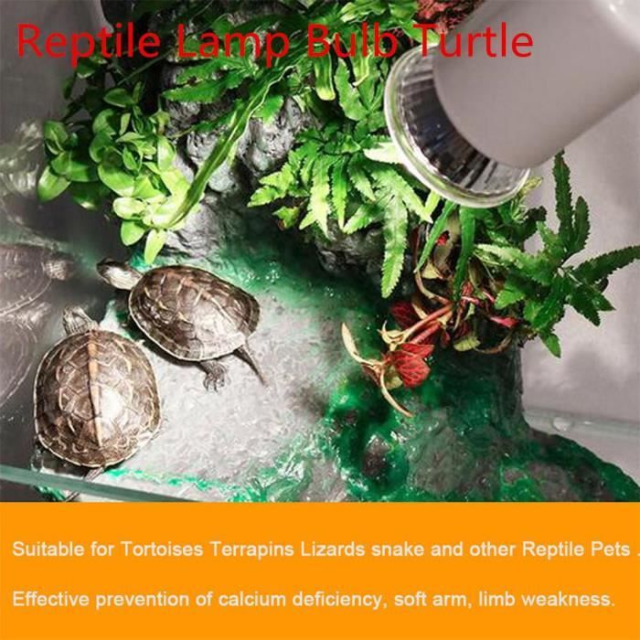 Eclairage aquarium,nimalerie,Kuulee - lampe UVB 3.0 pour Reptile, ampoule chauffante, contrôle de température, tortues - Type 25w