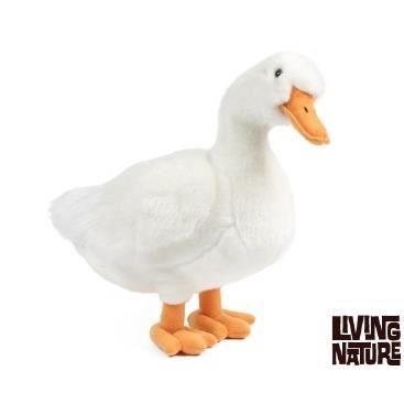 Peluche canard 35 cm - AN381