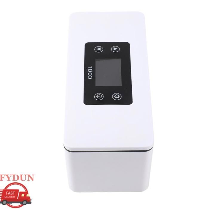 FYDUN Boîte de réfrigérateur à insuline Boîtier refroidisseur à insuline réfrigérateur à insuline portable qui tatouage clou