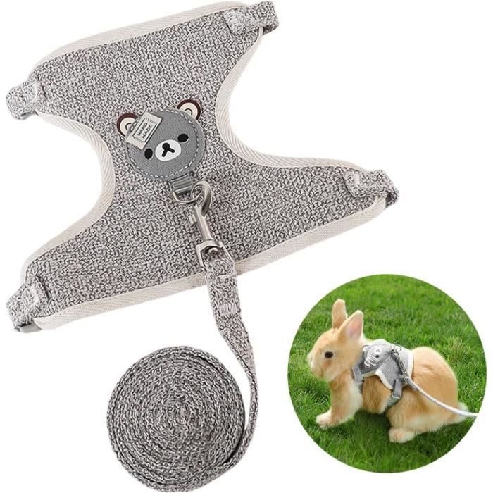 Harnais avec laisse - 12 m - Gris - Respirant - Confortable