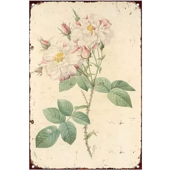 Plaque Murale Vintage étain – Café – 30x20 Cm – Déco Rétro