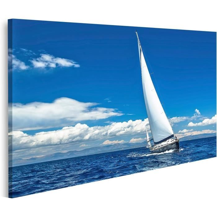 Toile de fond de Mer Ambiance Voilier Bohème Étoiles De Mer RR61-32