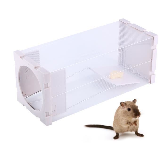 GOTOTOP Prise d'appât Cage de piège à rat sans cruauté Animal vivant  Rongeur Souris Contrôle de la souris Appât Attraper