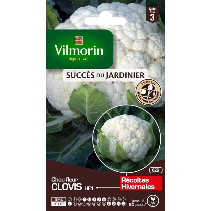 Vilmorin Graines Haricot Skipper - Variété Rustique Pour Congélation, Gousses Droites 12-13cm
