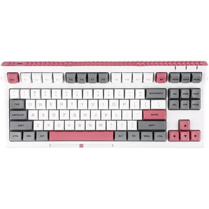 Clavier Mécanique Vertex Angle R2 TKL – Custom Gris – Monté Avec Leaf Spring