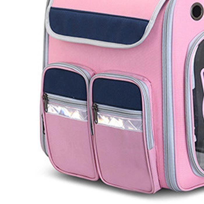 Chapeau De Fête D'anniversaire Pour Animal De Compagnie - Bougies