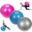 Ballon de Fitness Ballon de Yoga 65 cm PVC Fitness Pilates Balance Ballon de Yoga Fitness Gym Training avec Pompe Anti-Burst An 489-2