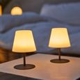 Pack de 2 Lampes de table sans fil - LUMISKY - TWINS - H16 cm - Pied en acier gris - LED blanc chaud et blanc-2