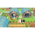 Story of Seasons : Pioneers of Olive Town Jeu Switch-5