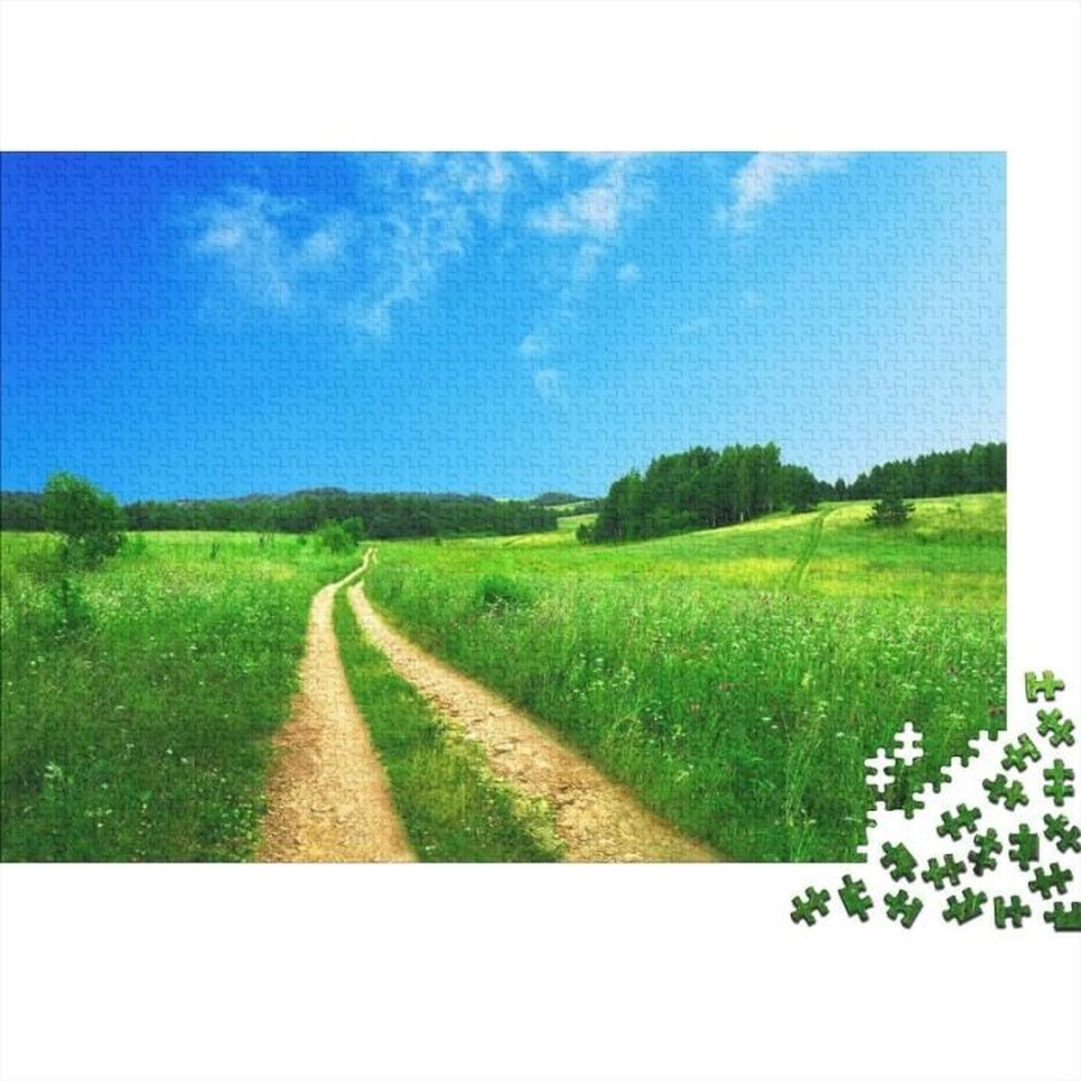 Fleurs 1000 Pièces, Diy Puzzle, Divertissement Créatif, Cadeau Fleurs 1000 Pièces, Diy Puzzle, Divertissement Créatif, Cadeau
