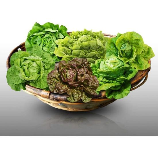 Griglia Auto In Alluminio 100x33 Cm - Rete Universale Per Paraurti E Prese Aria - Foto 9