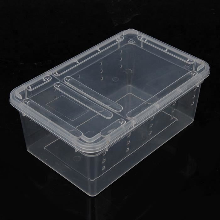 Noir Plastique transparent boîte en plastique insectes transport de reptiles d'élevage Cas d'alimentation White